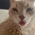 fpTt66fdmB8kcMIBd0fSoSMwLtUZ_YF3naYSY9eWQK0