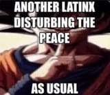1754621749225311