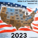1754626019292253m