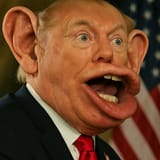 donmutt