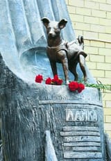 laika