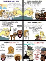 indiaancestry