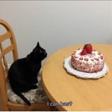 c7898798798778968756865