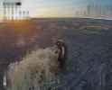 A Russian infantryman rams an FPV with his forehead. By @414magyarbirds 07-08-2025 NIGGER LOL HD_thumb.jpg