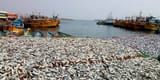 fishing-harbour