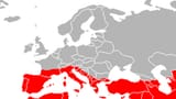 sotadic zone