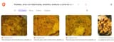 top image search results