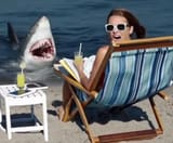 imagine the shark
