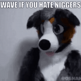 slQNPACf