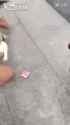 1677375804999735_thumb.jpg