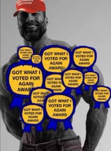 GotWhatIVotedFor