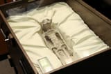 alien 1