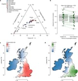 English ethnic composition