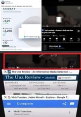 1734842432420044
