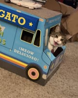 kot truck