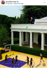 TrumpTossesDildo