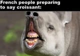 frenchsayingcroissant