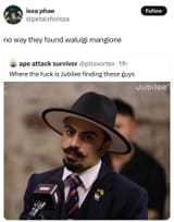 waluigi_mangione