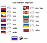 1602668520