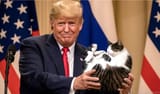KOTANDONALD