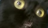 17473186904760