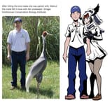 crane tsundere 