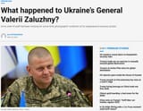 Zaluzhny Kaput