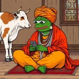Pepe india posting