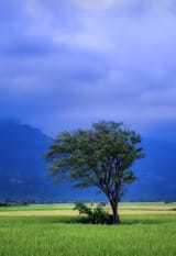 IMG_20250809_020923