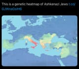 Ashkenazis are Italians