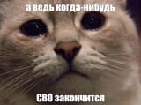 Thread 512562677 OP Image