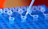 DNA-lab-university-michigan-2741635341
