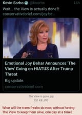 The View &amp; trans freaks