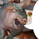 1742632654252694