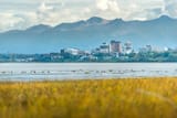 Anchorage