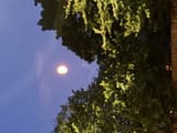 IMG_6962