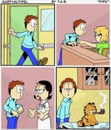 Garfloss