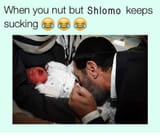 nutshlomo