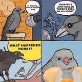 Bird-loss