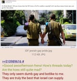 shills IDF jewish gay pride trolls
