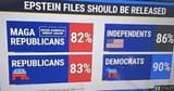 epstein-poll