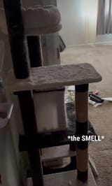 The smell