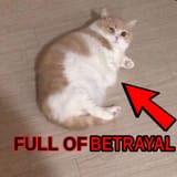 betrayal