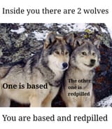 1581998864365