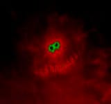 dragon in the virgo constellation