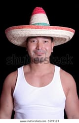 herro, im here for the taco