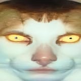 1692109615103917
