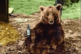 Wojtek-26