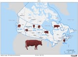 canadian-beef