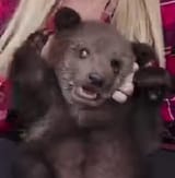 234